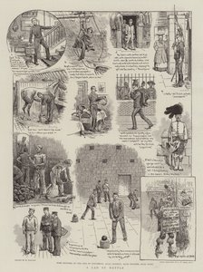 Odvážný chlapec od William Ralston